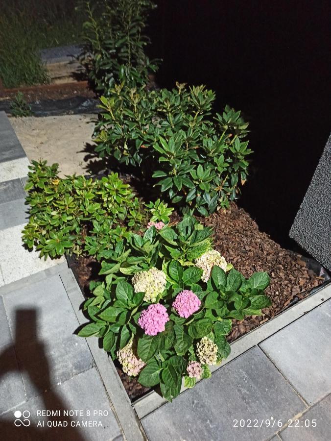 3-Studio Posen Exterior foto